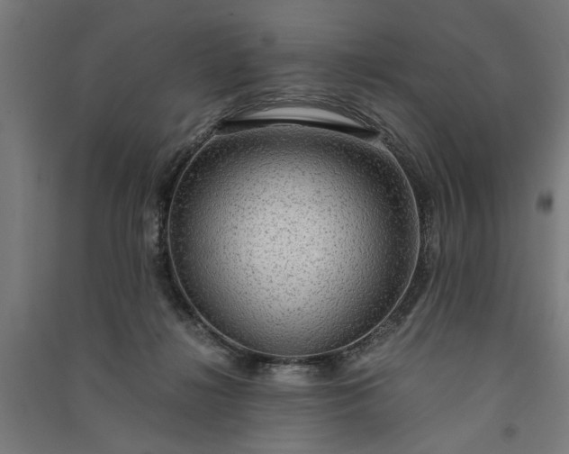 X0000091060268200708201352