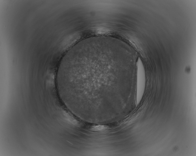 X0000091060269200708201352