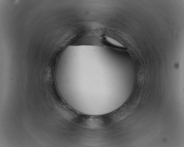 X0000091060270200708201352