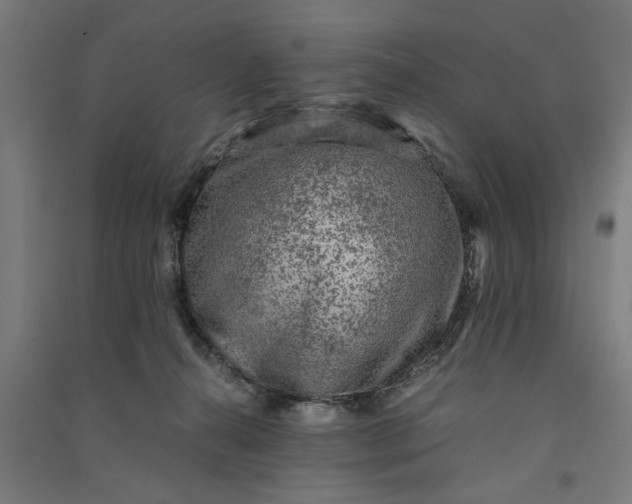 X0000091060272200708201352