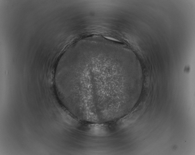 X0000091060273200708201352