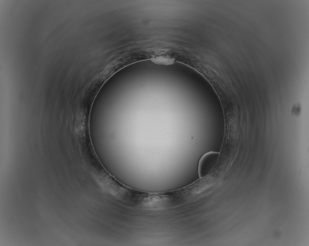 X0000091060274200708201352
