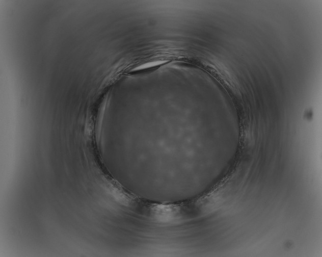 X0000091060277200708201352