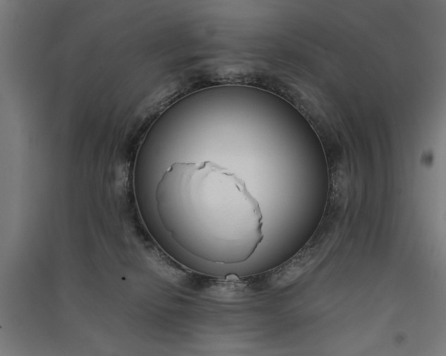 X0000091060278200708201352