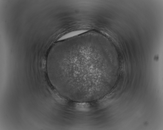 X0000091060281200708201352