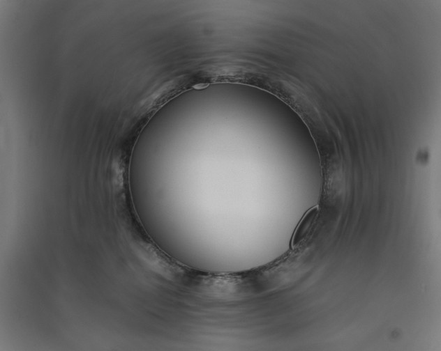 X0000091060282200708201352