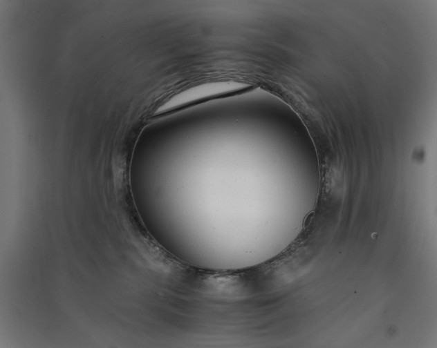 X0000091060283200708201352