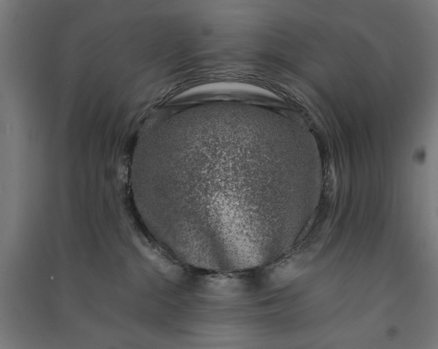 X0000091060284200708201352