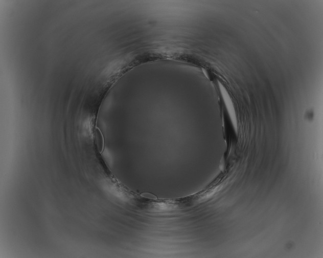 X0000091060286200708201352