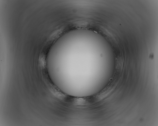 X0000091060287200708201352