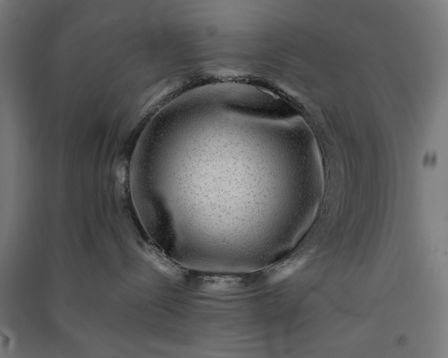 X0000091060288200708201352