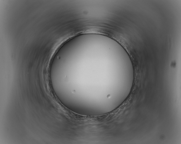 X0000091060289200708201352