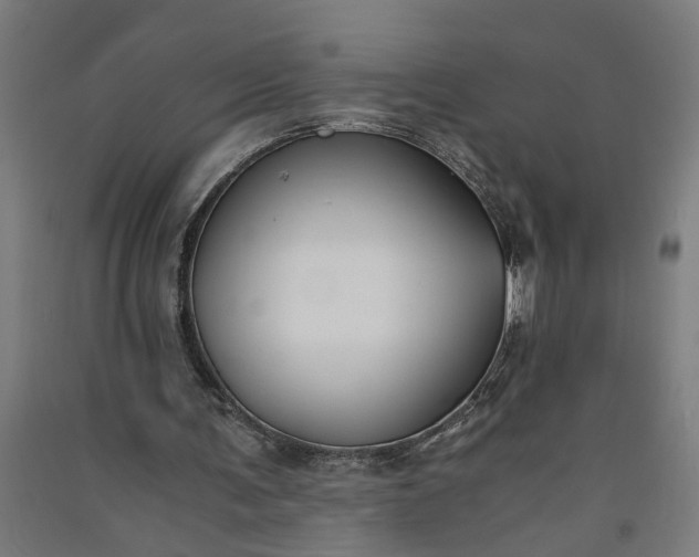 X0000091060291200708201352