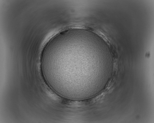 X0000091060293200708201352