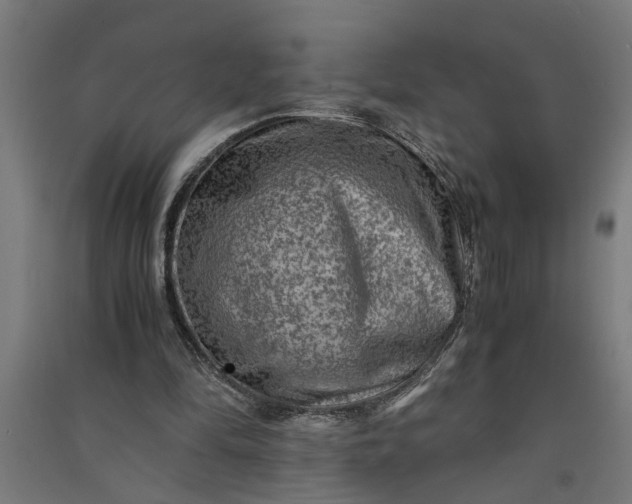 X0000091060294200708201352