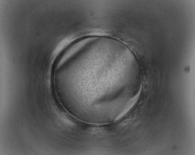 X0000091060296200708201352