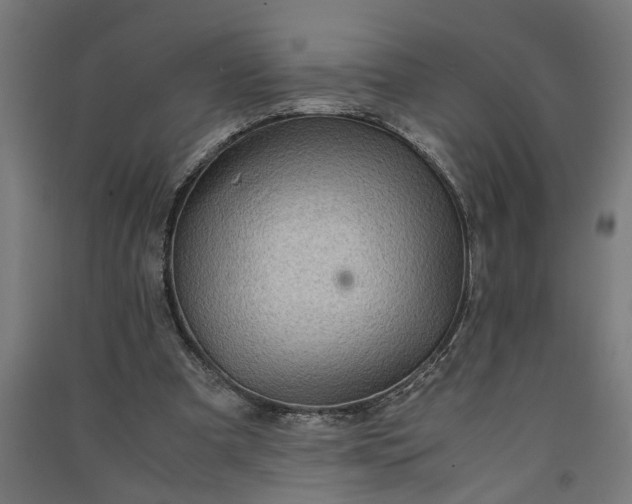 X0000091060297200708201352