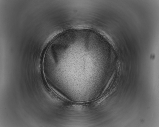 X0000091060298200708201352