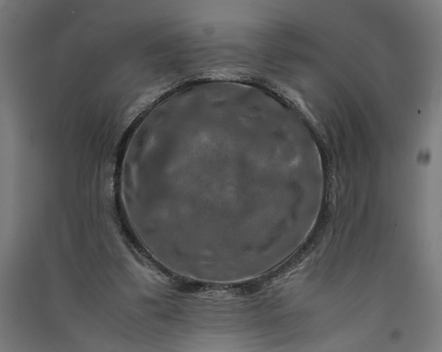X0000091060299200708201352