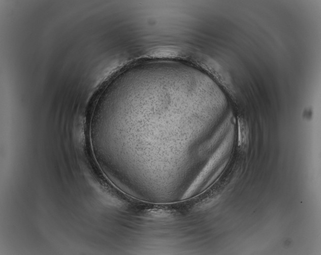 X0000091060300200708201352