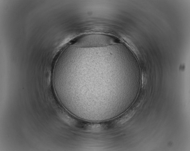 X0000091060301200708201352