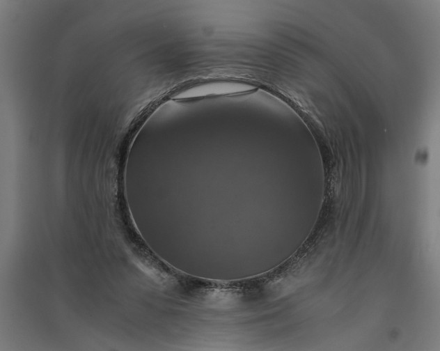 X0000091060303200708201352