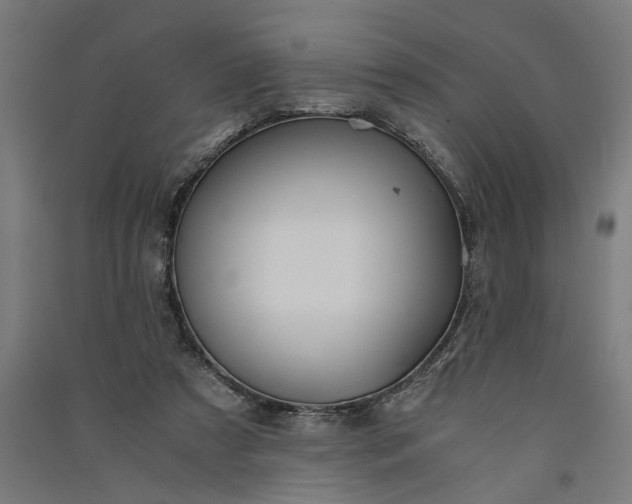 X0000091060305200708201351