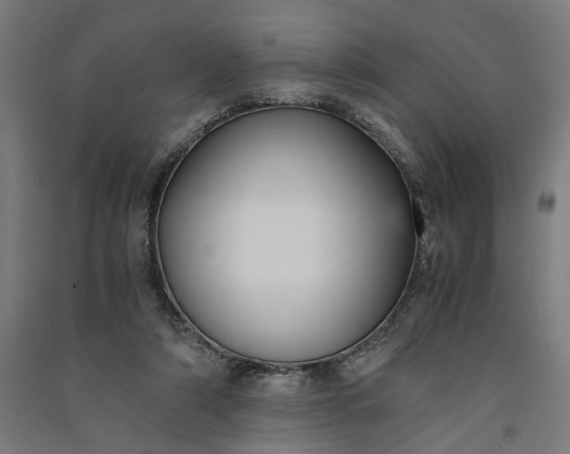 X0000091060306200708201351