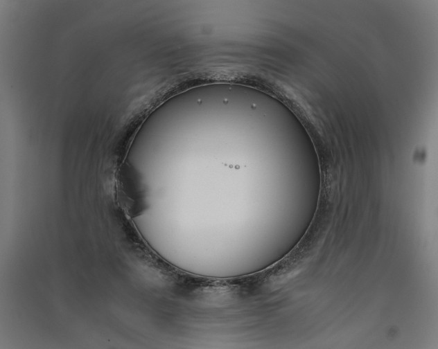 X0000091060307200708201351