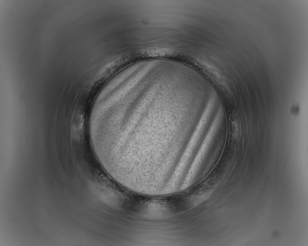 X0000091060308200708201351