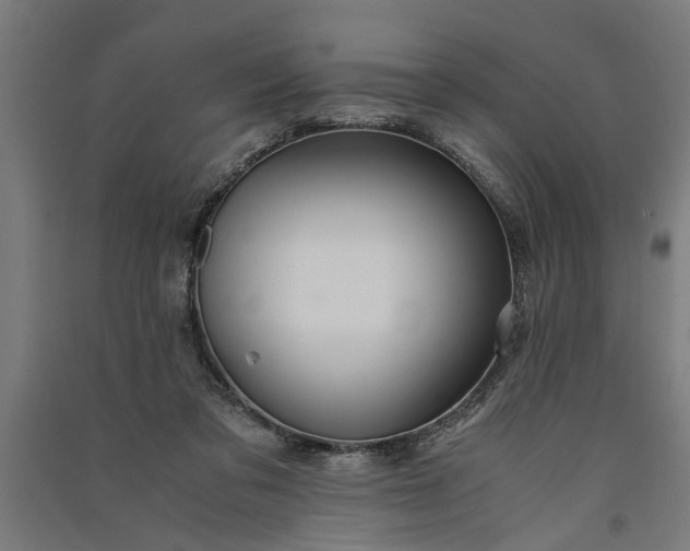 X0000091060309200708201351