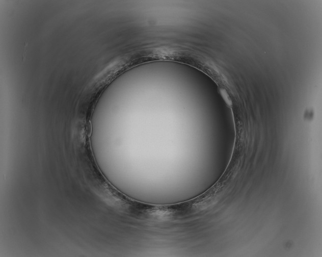 X0000091060313200708201351