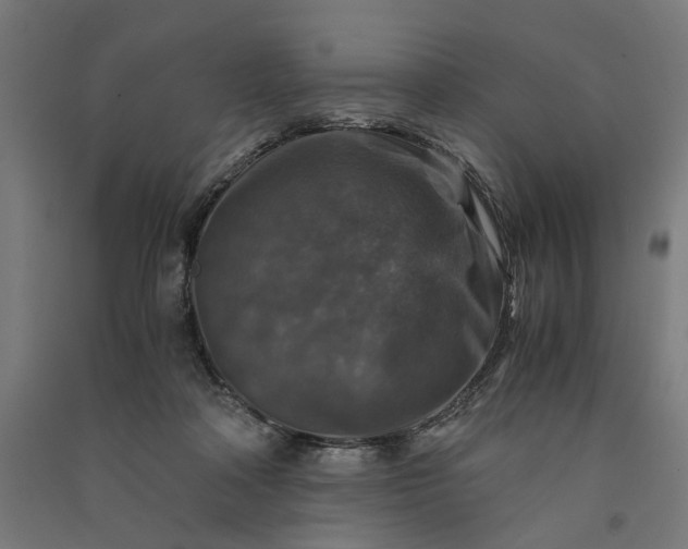 X0000091060314200708201351