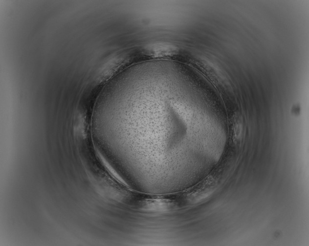 X0000091060316200708201351