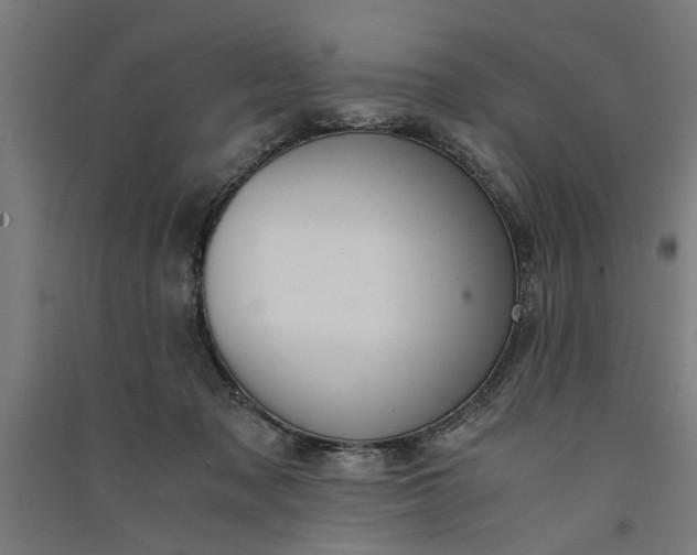 X0000091060317200708201351