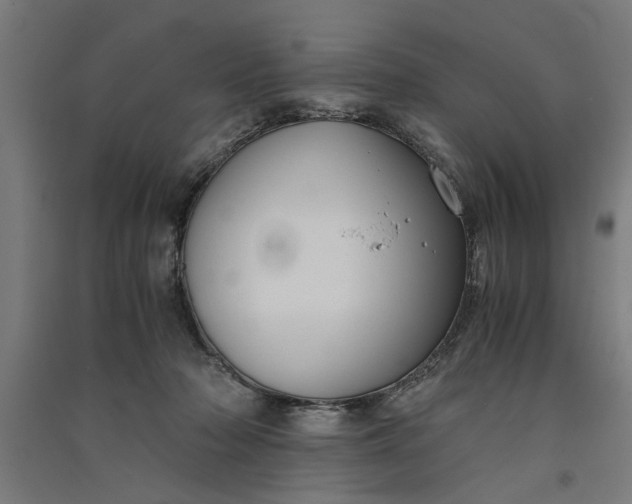 X0000091060318200708201351