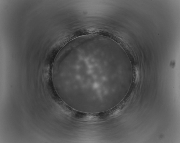 X0000091060319200708201351