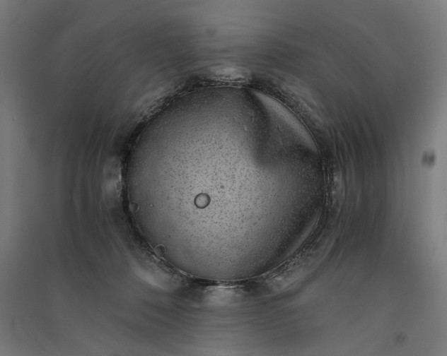 X0000091060320200708201351