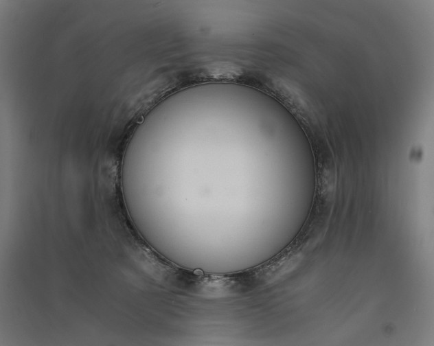 X0000091060321200708201351