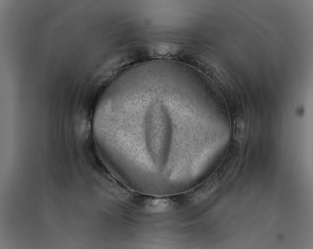X0000091060324200708201351