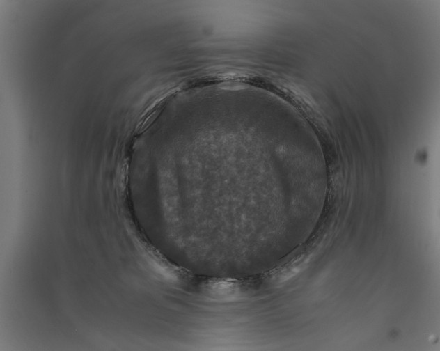 X0000091060325200708201351