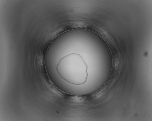 X0000091060326200708201351