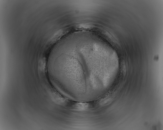 X0000091060328200708201351