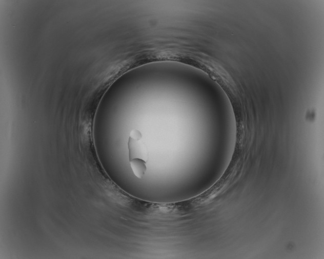 X0000091060329200708201351