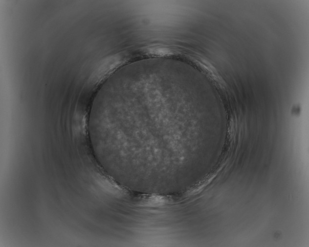 X0000091060330200708201351