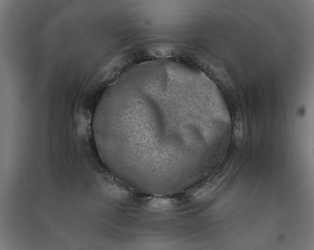 X0000091060332200708201351
