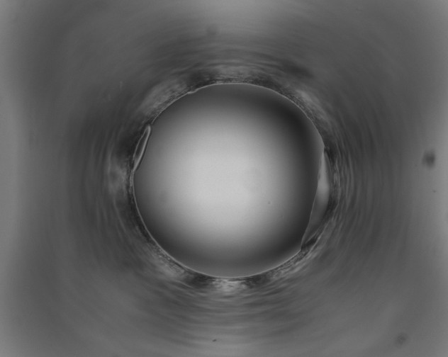 X0000091060333200708201351