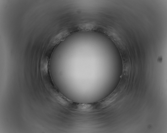 X0000091060334200708201351