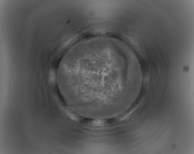 X0000091060335200708201351