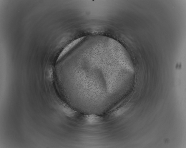 X0000091060336200708201351